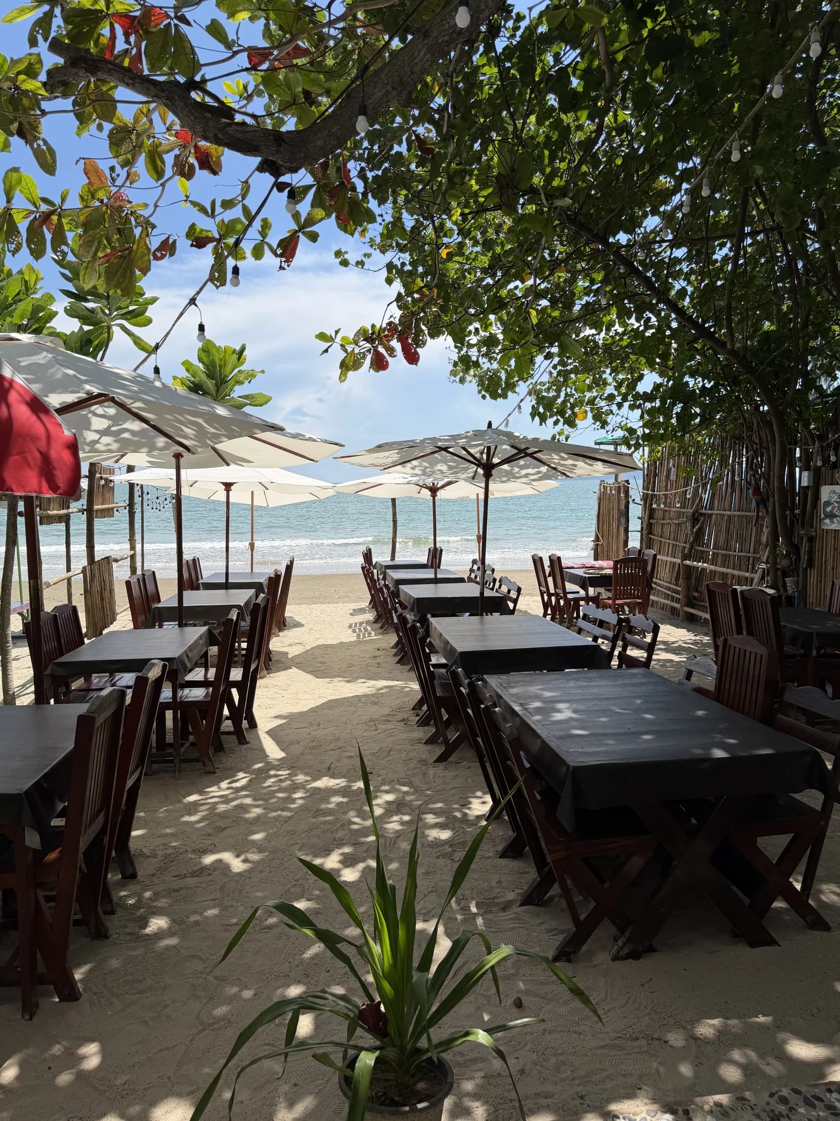 โต๊ะใต้ร่มไม้ มองเห็นหาดสวนสนที่ Dow by the sea ใกล้บ้านเพ